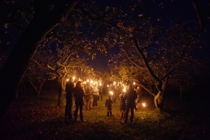 Apfelbäume & Glühapfelträume - Winterlich-romantische Lagenwanderung mit Fackeln & Bio-Apfel-Raclette
