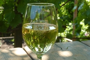 Frankfurter Weinlagenwanderung - Von Seckbach nach Bischofsheim durch ehemalige Weinberge