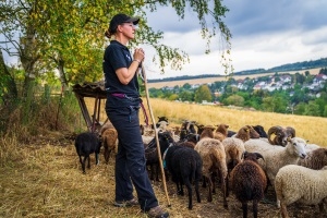 Ziegen- & Schaf-Trekking im Taunus - Das besondere Erlebnis für die ganze Familie