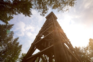 Goetheturm 3.0 - Der Wiederaufbau von Frankfurts liebstem Holzturm