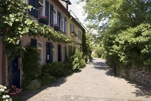 Höchst - Busrundfahrt zwischen Chemie & Altstadt