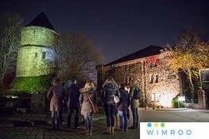 Interaktive LIVE-FÜHRUNG: Die Mainz VERführung Online - Winter, Weihnacht & Winzerglühwein