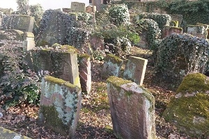 Jüdisches Frankfurt - Ein Rundgang über den Jüdischen Friedhof