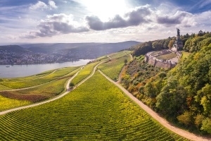 Alles Riesling oder was? - Vinotheken-Tour zu den Rheingauer Weingütern Diefenhardt, Ries & Weingut Eser - Johannishof