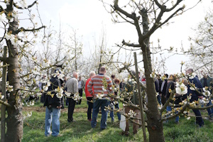 Foto: Obsthof am Steinberg