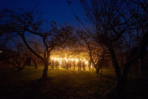 Foto: Obsthof am Steinberg