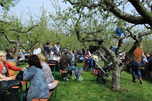Einschulungsfest naturell unterm Apfelbaum 2026 – Zu Gast auf dem Obsthof am Steinberg
